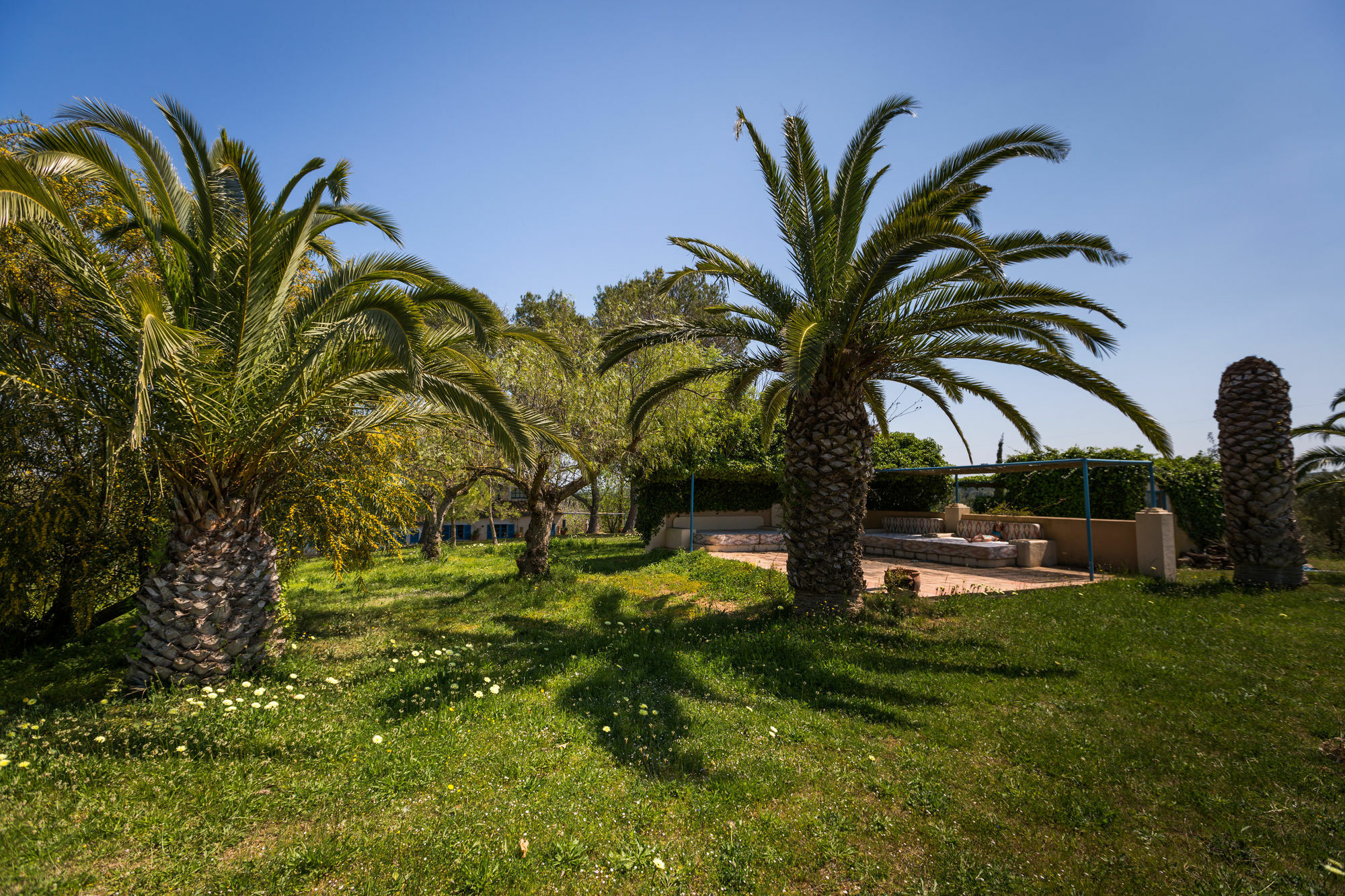 Finca Son Miranda - La Organic Sencelles Kültér fotó