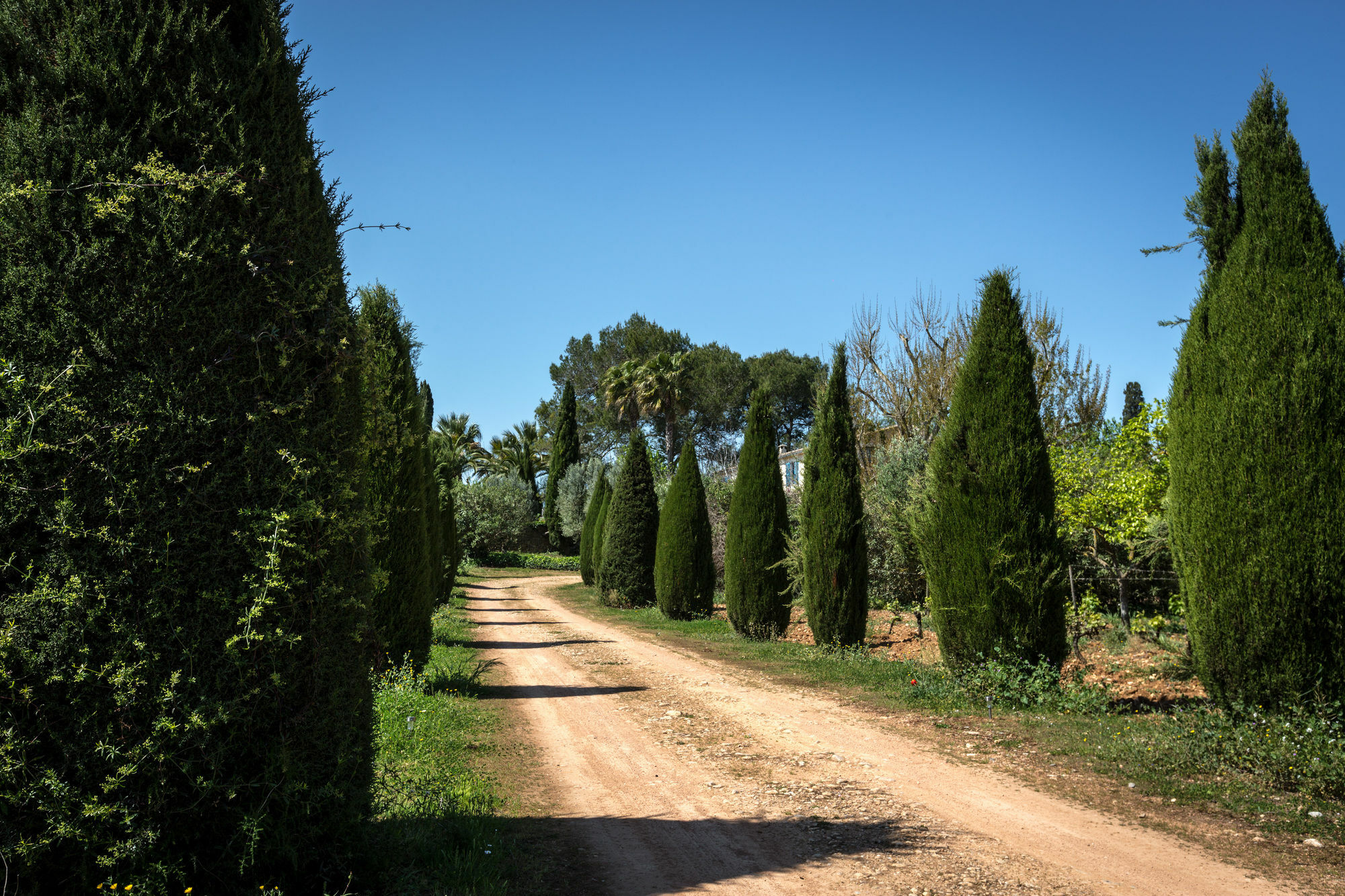 Finca Son Miranda - La Organic Sencelles Kültér fotó