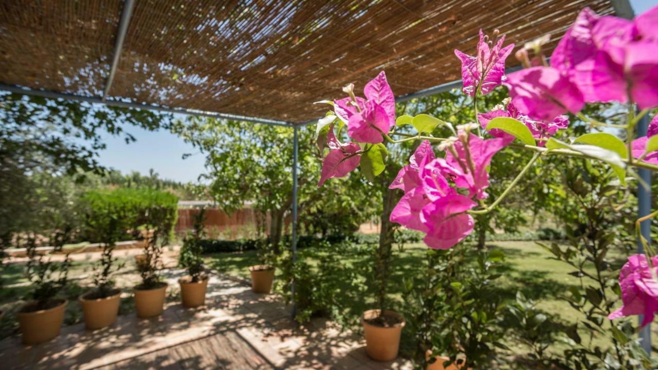 Finca Son Miranda - La Organic Sencelles Kültér fotó